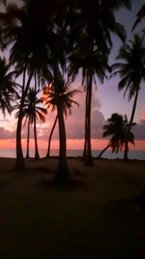 Mystic Maldives Mathiveri Retreat Eksteriør bilde